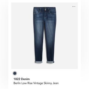 Stitch Fix 1822 Denim Low Rise Vintage Skinny Jeans Women’s Size 31